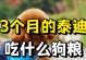 泰迪狗宜吃的水果有哪些？（了解泰迪狗的饮食需求，为它们选择适合的水果）