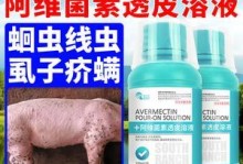 如何选择最有效的药物来杀死狗狗体内的牛蜱虫？（挑选最佳药物治疗你的宠物狗身上的牛蜱虫感染）