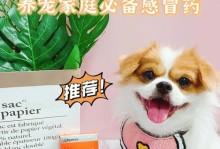 解决狗狗便秘的药物及方法（帮助狗狗缓解便秘问题的有效药物与建议）