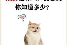 解读猫的叫声之意味深长的猫语（了解猫咪叫声的意思与沟通方式，揭秘其中的奥秘）