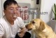 为什么狗总是舔舌头？（探究狗舔舌头的原因和作用）