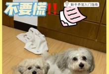 小狗感冒的症状及治疗方法（了解小狗感冒的常见症状和正确治疗方法）