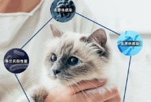 狗狗抗生素使用的注意事项（保证狗狗健康需谨慎使用抗生素）