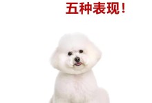 如何处理比熊犬拉肚子问题（了解比熊犬肠胃不良的表现与处理方法）