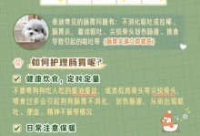 三个月泰迪犬的教育区别（培养泰迪犬良好习惯的关键技巧）