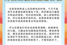 宠物狗的体外驱虫方法探析（保护毛茸伙伴健康的关键–宠物狗体外驱虫）