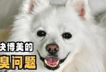 博美怀孕期间应避免的食物（博美怀孕期间的饮食禁忌及注意事项）