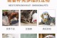 狗狗所需的维生素及补充方法（探索狗狗维生素补充的最佳选择）