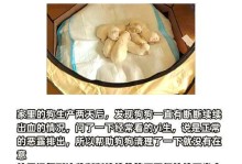 产后低血钙的主要症状及治疗方法（了解狗狗产后低血钙的症状与治疗方法，让它们健康快乐）