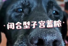 拉布拉多生产前的征兆——如何判断拉布拉多即将分娩（了解拉布拉多生产的迹象及分娩前的准备工作）