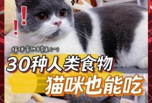 小猫可以吃的肉类及其益处（满足小猫味蕾的健康肉类选择）
