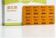六个月狗狗感冒的治疗方法（药物是治疗六个月狗狗感冒的有效手段）