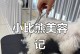 四个月比熊睡眠时间究竟有多长？（揭开四个月比熊睡眠时间的神秘面纱，让你更了解你的宠物）