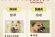 狗狗感冒症状及治疗方法