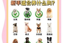 选择适合新手养狗的6种犬种（身体强壮，终身伴侣，让你不想换狗的首选）