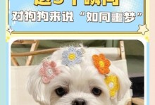 狗狗最害怕的事情，你是否无意中让它们感到恐惧？（探究狗狗最常见的8种害怕源及主人所做的事情）