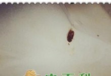 初期犬瘟热患犬粪便特征分析（初期犬瘟热患犬粪便的颜色、质地与数量异常变化及其意义探析）
