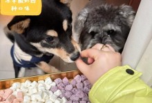 比熊可以喝酸奶吗？（了解适合比熊的酸奶种类和注意事项）