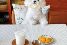 三个月大比熊犬的饮食指南（为你的宠物提供健康均衡的饮食）