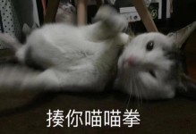 为什么早上猫那么吵？（揭秘猫咪清晨吵闹的原因及应对方法）