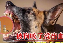 狗狗狂犬病的危险信号（发现这6种表现，远离狗狗才是最重要的！）