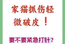 猫鼻子破皮的处理方法（急救技巧和预防措施）