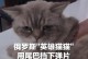 猫尾巴硬了代表什么？（揭秘猫咪尾巴硬化的意义与行为习惯）