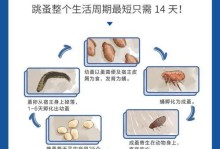 如何给狗儿驱虫？（狗儿拉虫需要注意的事项及药物推荐）