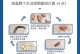如何给狗儿驱虫？（狗儿拉虫需要注意的事项及药物推荐）