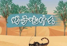 宠物蝎子的饮食需求与喂养技巧（了解宠物蝎子的食性与饲养方法，让它们健康成长）