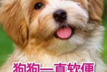 狗狗的益生菌（探索狗狗所需的益生菌及其作用）