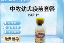 金毛狗疫苗接种，守护你的爱宠健康（为了预防疾病，金毛狗疫苗接种是必要的）