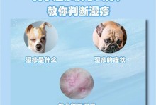 常见狗狗疾病及其症状（揭秘狗狗疾病丛林，了解你的毛孩需注意的15种常见症状）