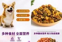 以法斗喂养的最佳狗粮选择（为你的法斗选择健康均衡的狗粮）