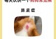 犬皮肤病的治疗方法及药物选择（解析犬皮肤病的原因、常见药物及治疗效果）