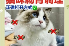 小猫长时间不喝奶会出现什么问题？（定时喂养、少食多餐是保障小猫健康成长的关键）