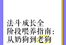 狗狗断奶时间及喂食指南（狗狗断奶的最佳时间和正确的喂食方法）