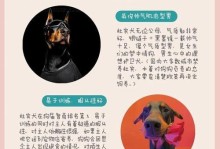 杜宾犬吃完食后多久可以进行运动？（了解适当的休息时间和运动安排，让您的杜宾犬保持健康活力）