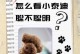 泰迪为什么耳朵短？（探究泰迪狗独特的耳朵特征及形成原因）