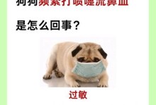 小狗流鼻涕的原因及应对措施（如何处理小狗流鼻涕问题，帮助宠物恢复健康）