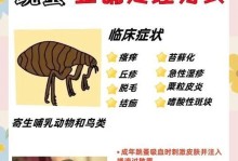 如何有效地帮助狗狗杀死跳蚤？（探讨可行的方法和技巧，让您的宠物摆脱跳蚤困扰！）