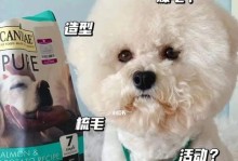 狗狗生宝宝前的饮食注意事项（提供营养均衡的饮食，确保健康后代）