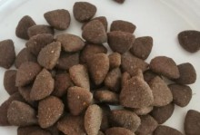 狗狗换狗粮后的大便变化（了解狗狗换粮后的排便情况，为它提供更好的饮食）