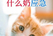 小猫奶喂养指南（2-3个月小猫的奶粉选择与喂养技巧）
