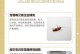 狗狗蛔虫排泄周期（探究狗狗蛔虫的排出过程及时间）