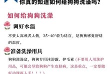 幼犬打针后多久可以洗澡？（了解合适的洗澡时间，给幼犬提供正确的护理）