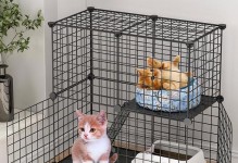 小猫笼子里的烦恼（如何让宠物小猫安静舒适地待在笼子里）