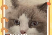 猫咪怀孕多久了？一窥猫咪孕期之谜（揭秘猫咪怀孕周期，了解猫咪生育的奥秘）