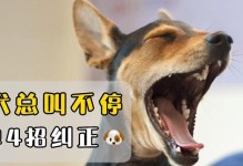 探究幼犬老叫的原因及解决方法（了解幼犬为何老是叫以及如何有效应对）