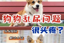 小狗乱尿怎么办？（有效方法教你解决小狗乱尿的问题）